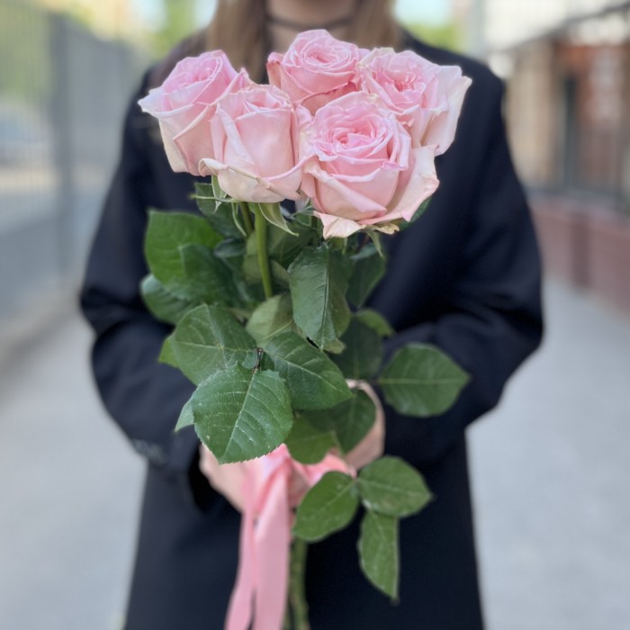 5 ароматных пионовидных роз Пинк Охара 50 см