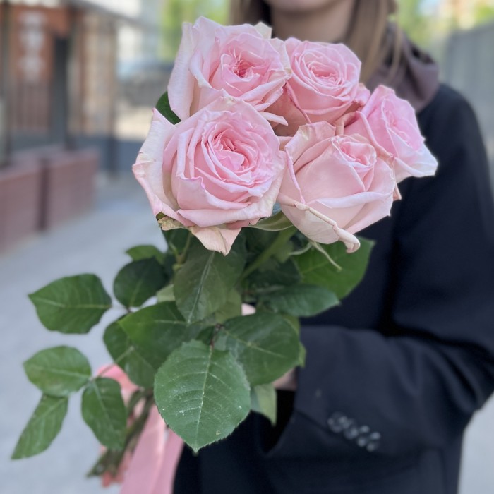 5 ароматных пионовидных роз Пинк Охара 50 см
