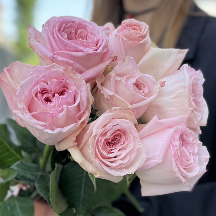 7 ароматных розовых пионовидных роз Пинк Охара 50 см