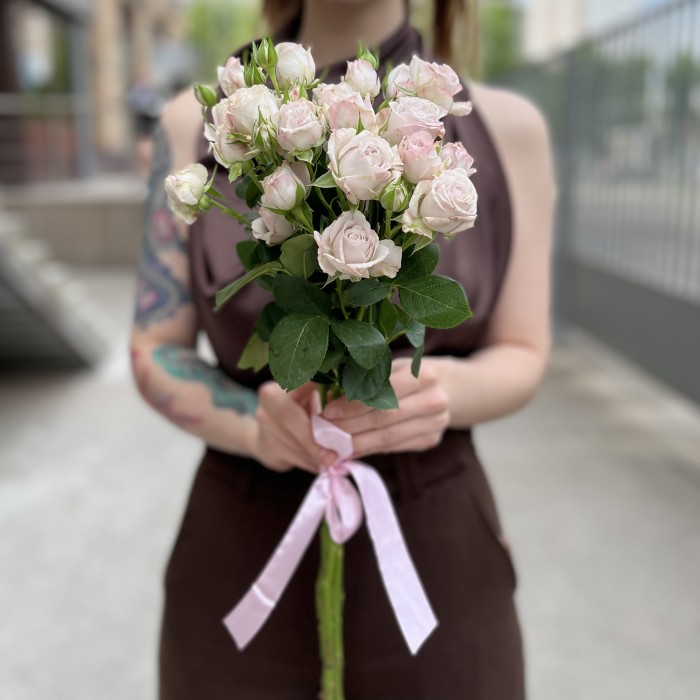 5 нежных кустовых пионовидных роз Энджел Бомбастик 70 см