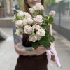 5 нежных кустовых пионовидных роз Энджел Бомбастик 60 см