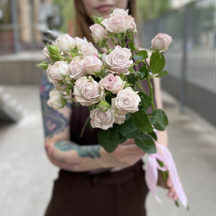 5 нежных кустовых пионовидных роз Энджел Бомбастик 70 см