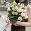 5 нежных кустовых пионовидных роз Энджел Бомбастик 60 см