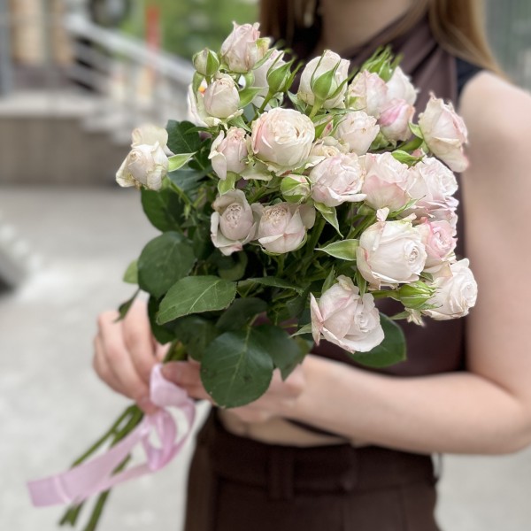 5 нежных кустовых пионовидных роз Энджел Бомбастик 60 см