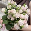 5 нежных кустовых пионовидных роз Энджел Бомбастик 60 см