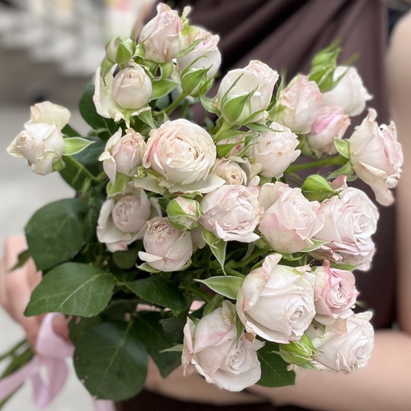 5 нежных кустовых пионовидных роз Энджел Бомбастик 70 см