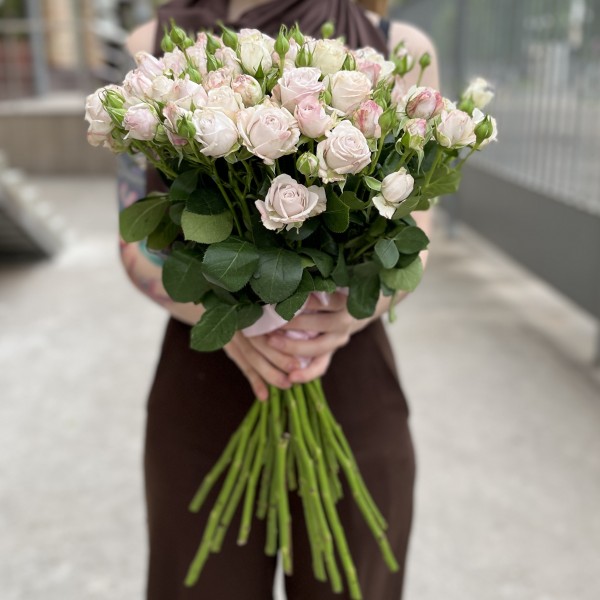 Кустовая пионовидная Роза Энджел Бомбастик 70 см