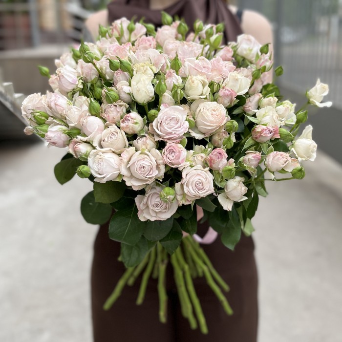 Кустовая пионовидная Роза Энджел Бомбастик 70 см