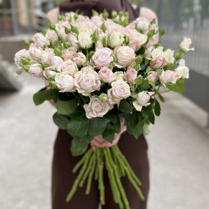 Кустовая пионовидная Роза Энджел Бомбастик 60 см