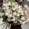 Кустовая пионовидная Роза Энджел Бомбастик 60 см