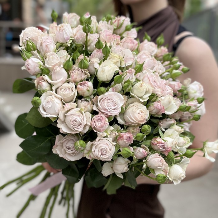 Кустовая пионовидная Роза Энджел Бомбастик 70 см