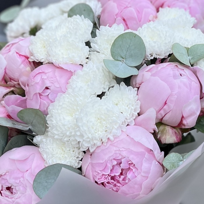 Средний букет из пионов Сара Бернар и белых хризантем