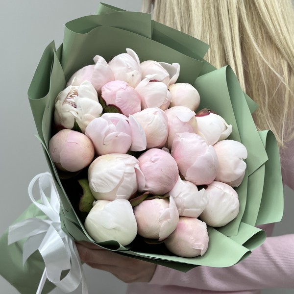 21 розовый пион Ангел Чикс