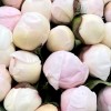 25 розовых пионов Ангел Чикс
