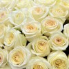 51 роза Кэндилайт 60 см
