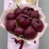 9 бордовых пионов Голландия