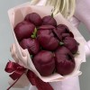9 бордовых пионов Голландия