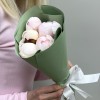 5 розовых пионов Ангел Чикс