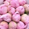 15 нежно-розовых пионов Гардения