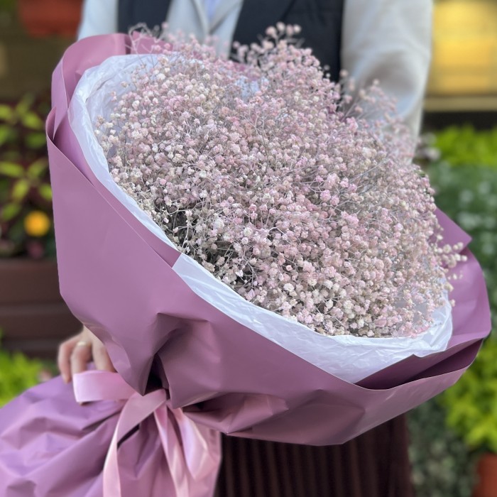 19 розовых гипсофил в упаковке