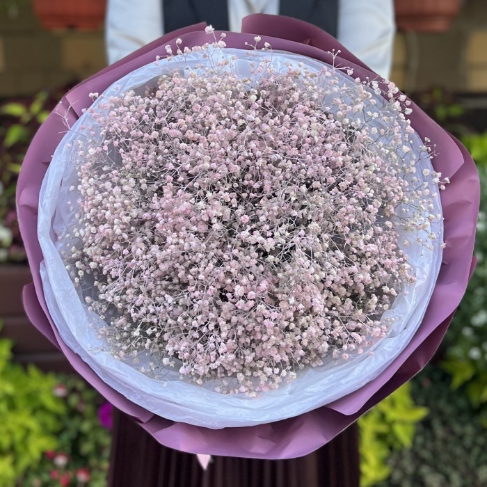 19 розовых гипсофил в упаковке