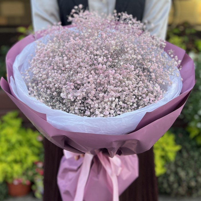 19 розовых гипсофил в упаковке