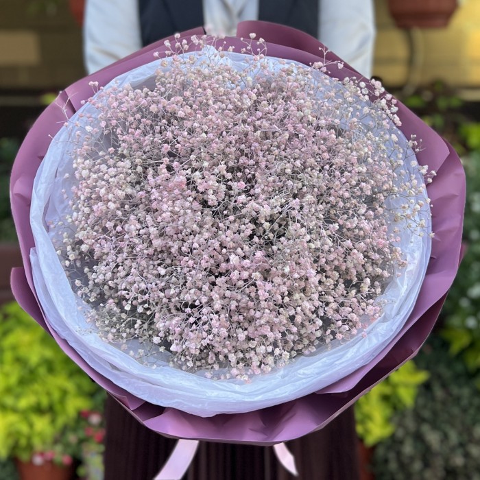 19 розовых гипсофил в упаковке