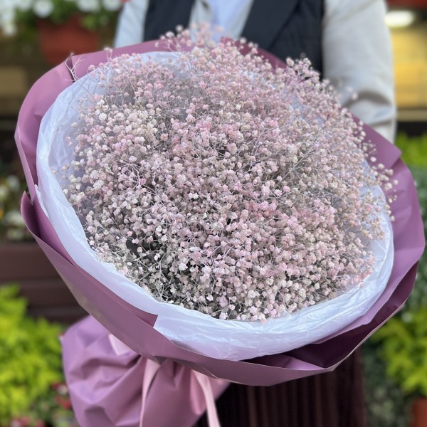 19 розовых гипсофил в упаковке