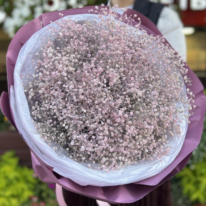 19 розовых гипсофил в упаковке