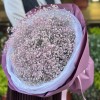 19 розовых гипсофил в упаковке