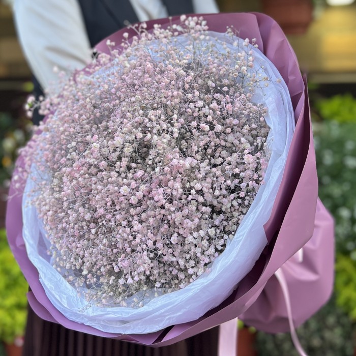 19 розовых гипсофил в упаковке