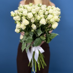 Кустовая белая роза Сноуфлейк 50 см