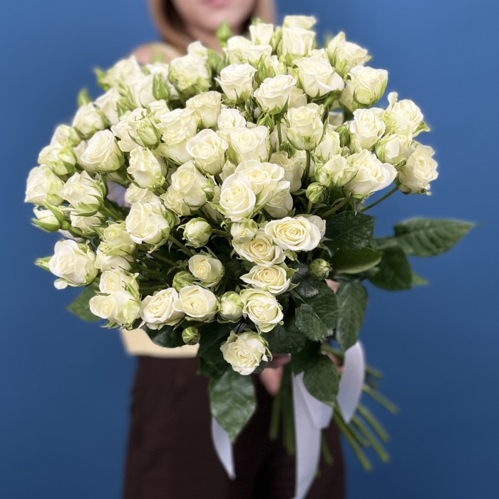 Кустовая белая роза Сноуфлейк 50 см