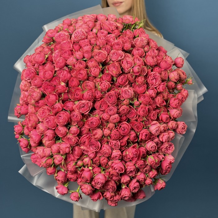 101 кустовая пионовидная малиновая роза Гранд Трендсеттер 50 см