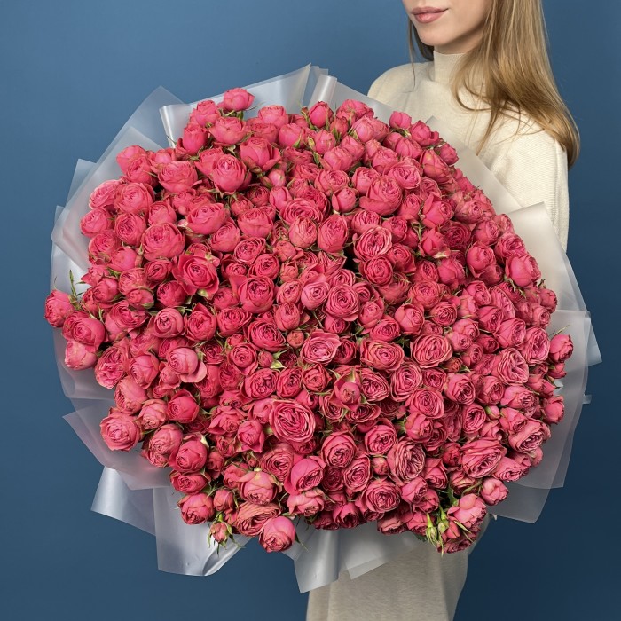 101 кустовая пионовидная малиновая роза Гранд Трендсеттер 50 см