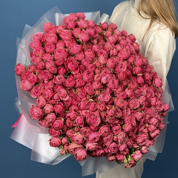 101 кустовая пионовидная малиновая роза Гранд Трендсеттер 50 см