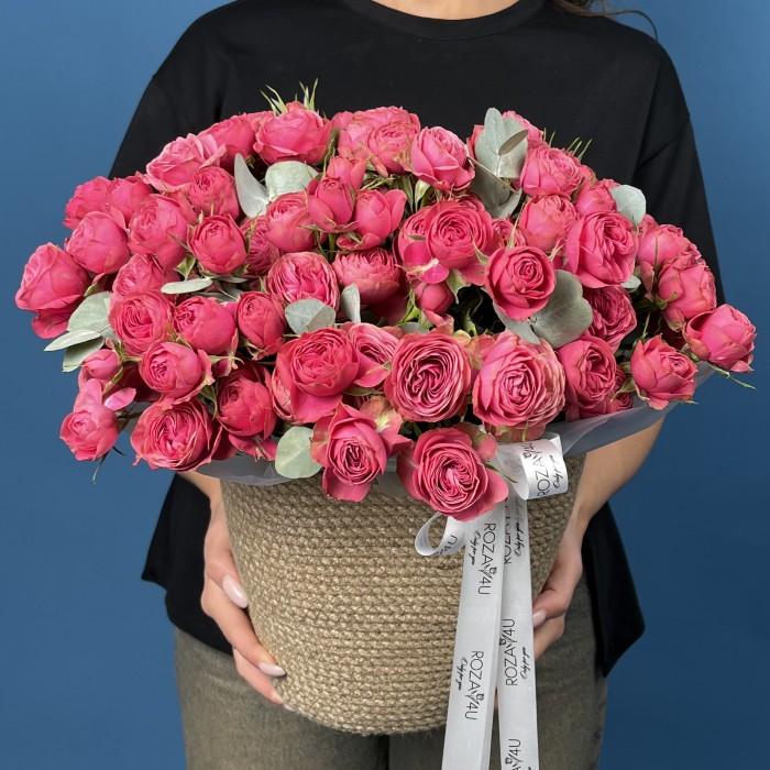 25 кустовых пионовидных малиновых роз Гранд Трендсеттер в кашпо