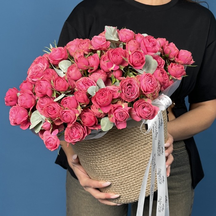 25 кустовых пионовидных малиновых роз Гранд Трендсеттер в кашпо