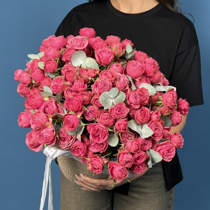 25 кустовых пионовидных малиновых роз Гранд Трендсеттер в кашпо