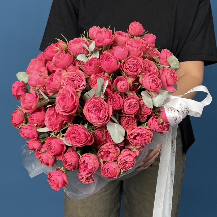 15 кустовых пионовидных малиновых роз Гранд Трендсеттер в кашпо