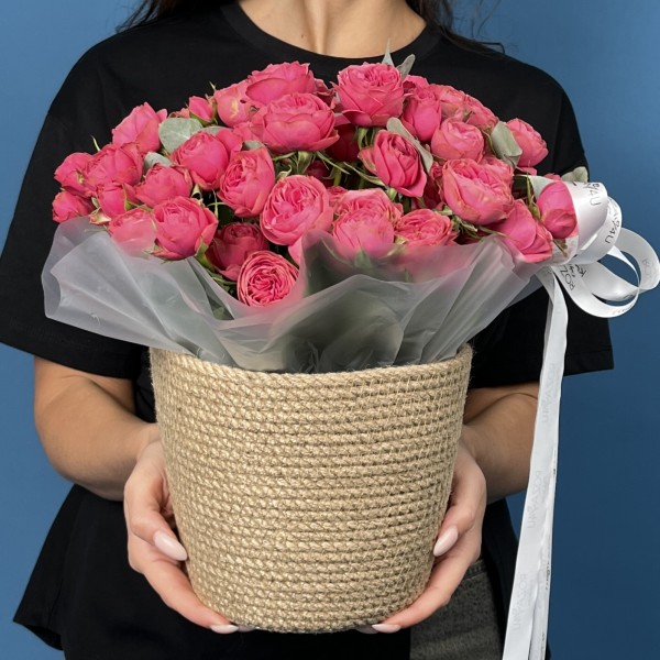 15 кустовых пионовидных малиновых роз Гранд Трендсеттер в кашпо