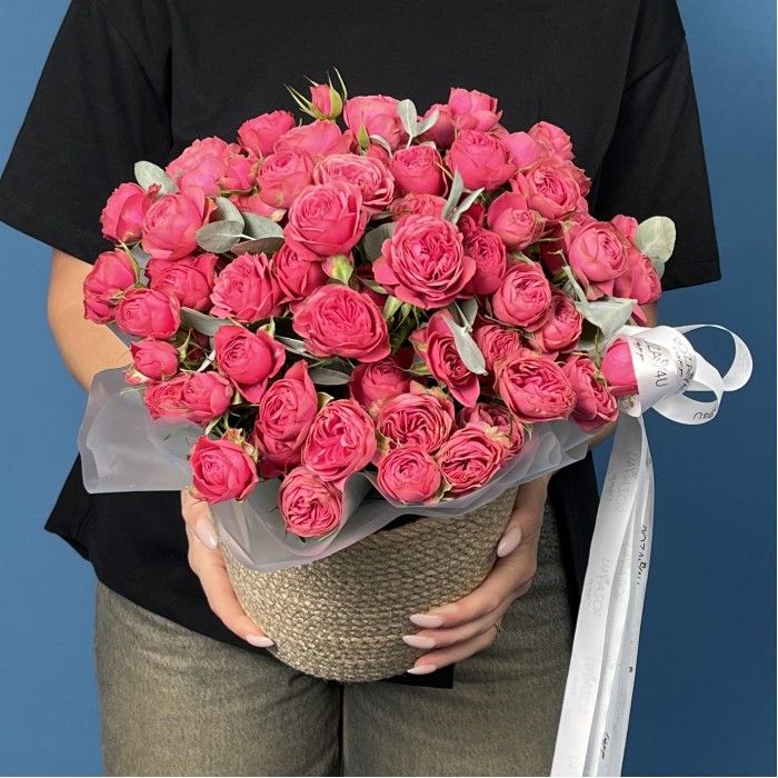 15 кустовых пионовидных малиновых роз Гранд Трендсеттер в кашпо