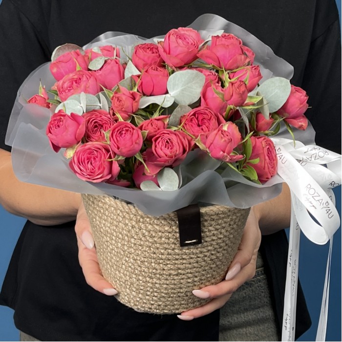 5 кустовых пионовидных малиновых роз Гранд Трендсеттер в кашпо