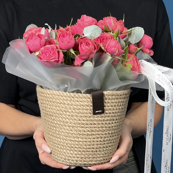 5 кустовых пионовидных малиновых роз Гранд Трендсеттер в кашпо