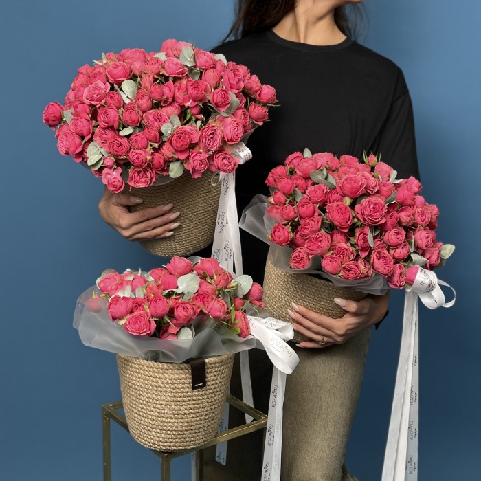 Сет из трёх кустовых пионовидных роз Гранд Трендсеттер в кашпо