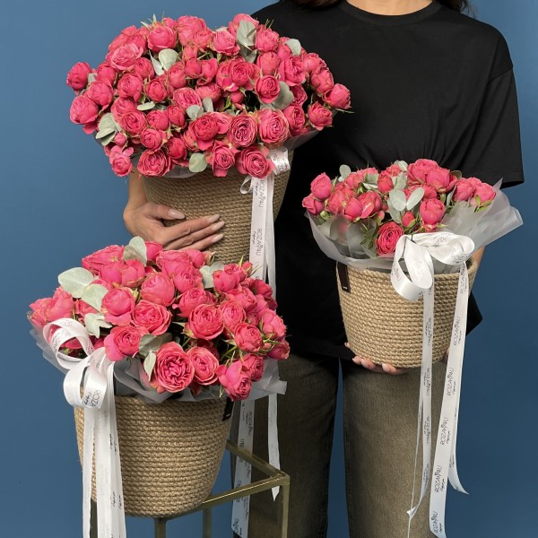 Сет из трёх кустовых пионовидных роз Гранд Трендсеттер в кашпо