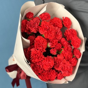 21 красная кустовая гвоздика