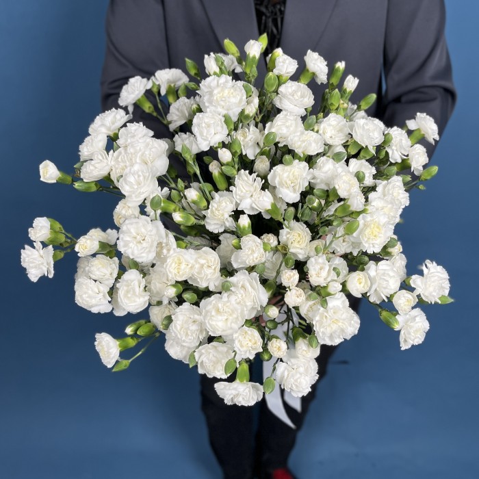 Букет из 35 белых кустовых гвоздик