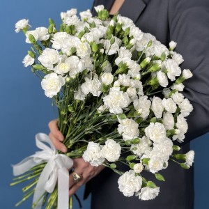 Букет из 35 белых кустовых гвоздик