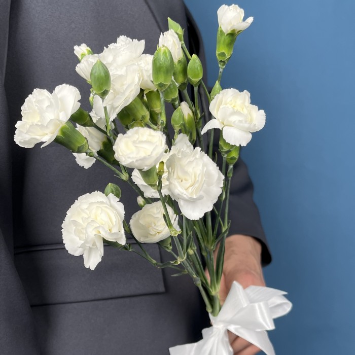 Букет из 5 белых кустовых гвоздик